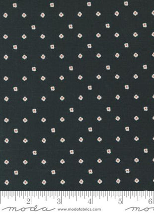 Ebony Dot Imaginary Flowers