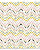 Chevron Multicolor