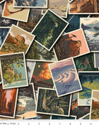 National Parks Postcards Toss Multi