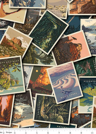 National Parks Postcards Toss Multi