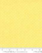 Yellow Essential Dots