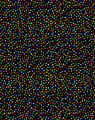 Garden Pin Dots Brite